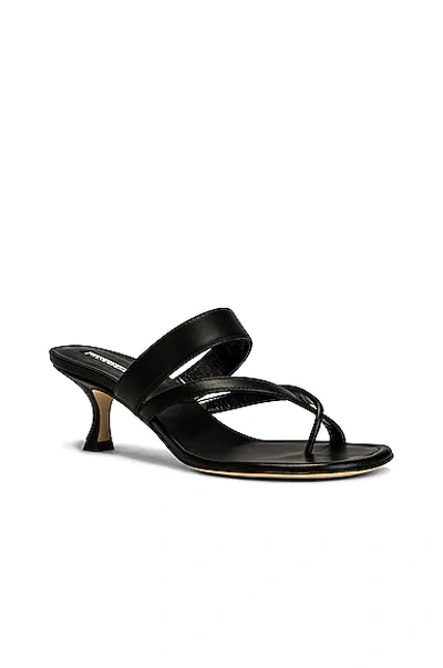 Shop Manolo Blahnik Susa 50 Leather Sandal In Black