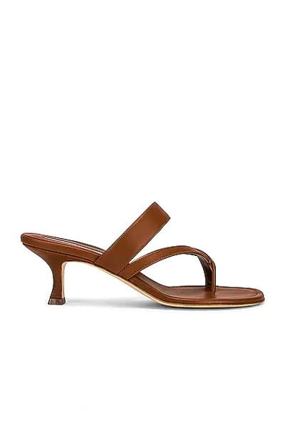 Shop Manolo Blahnik Susa 50 Leather Sandal In Brown