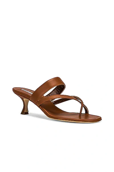 Shop Manolo Blahnik Susa 50 Leather Sandal In Brown