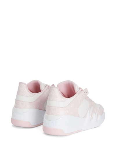 Shop Giuseppe Zanotti Talon Panelled Low-top Sneakers In Pink