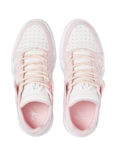 Shop Giuseppe Zanotti Talon Panelled Low-top Sneakers In Pink