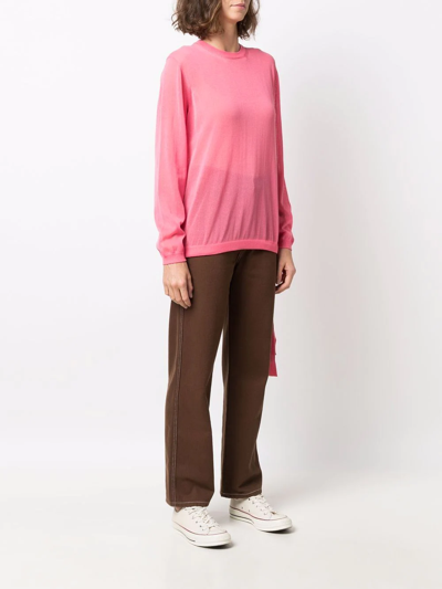 Shop Sara Lanzi Crew-neck Jumper In Rosa