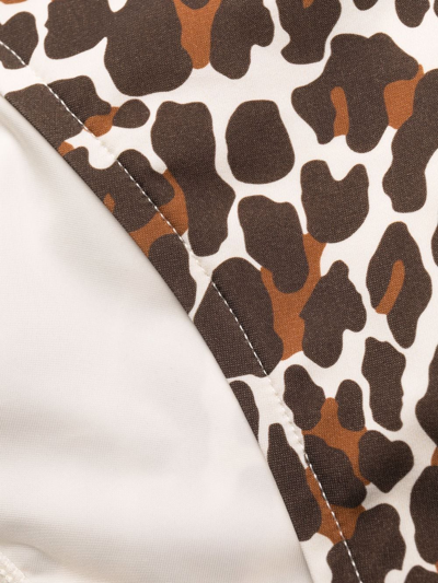 Shop Tory Burch Leopard Print Bikini Bottoms In Braun