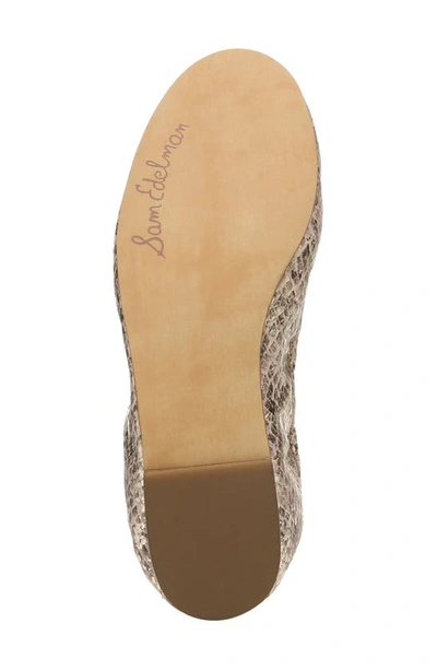 Shop Sam Edelman Felicia Flat In Sesame Se