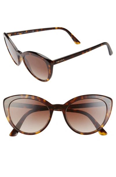Prada Semi-transparent Acetate Cat-eye Sunglasses In Brown | ModeSens