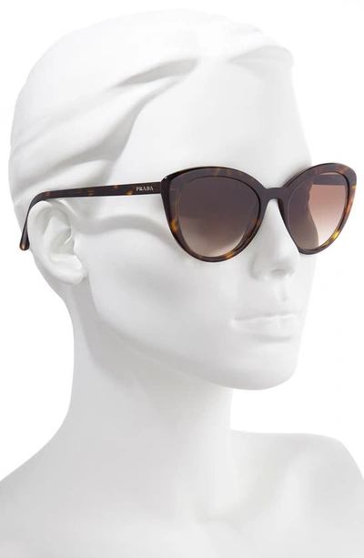 Shop Prada 54mm Cat Eye Sunglasses In Havana/ Brown Gradient