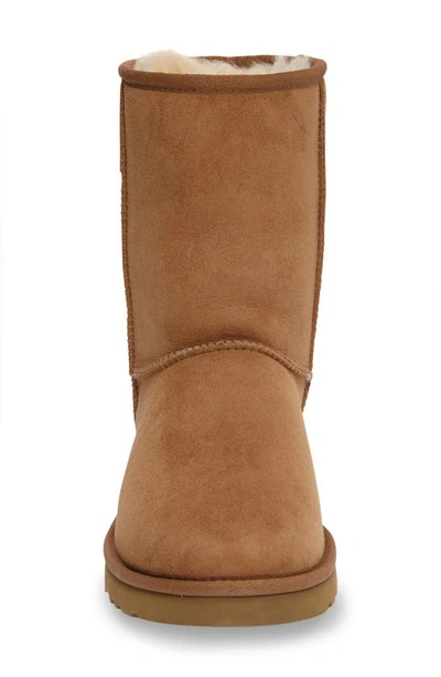 Shop Ugg (r) Classic Boot In Chestnutdnu