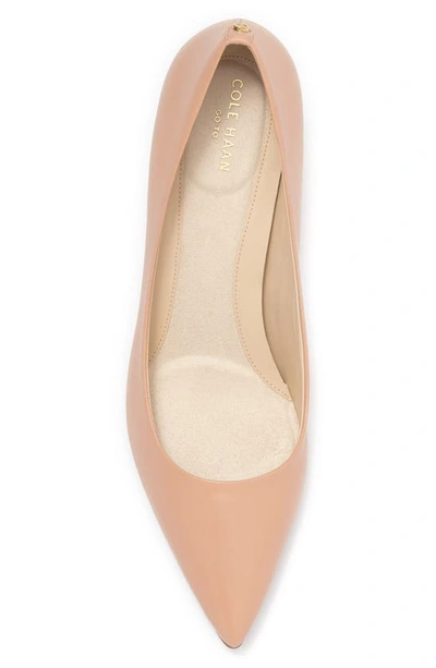 Shop Cole Haan Go-to Park Pump In Brush Leather