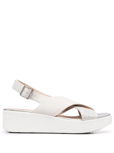 Geox Laudara Woven-strap Wedge Sandals In Grey