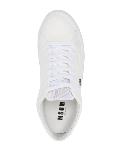 Shop Msgm Panelled Low-top Sneakers In White
