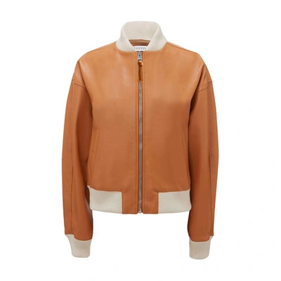 Shop Jw Anderson Bomber Jacket In Toffee