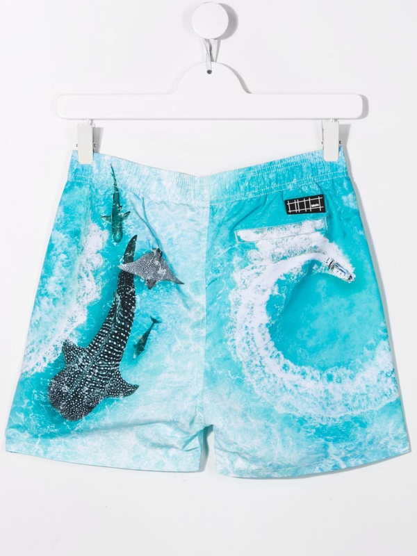 Molo graphic-print drawstring shorts - Blue