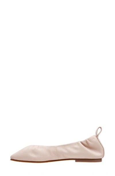 Shop Linea Paolo Newry Ballet Flat In Blush Pink