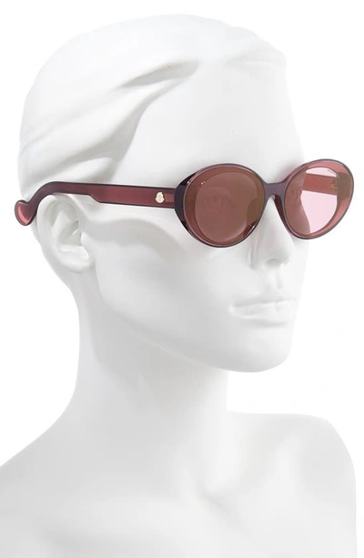 Shop Moncler 60mm Oval Sunglasses In Burgundy/ Pink W/ Gold
