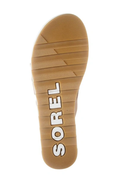 Shop Sorel Cameron Platform Gladiator Sandal In Honest Beige Gum 17