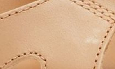 Shop Sorel Cameron Platform Gladiator Sandal In Honest Beige Gum 17
