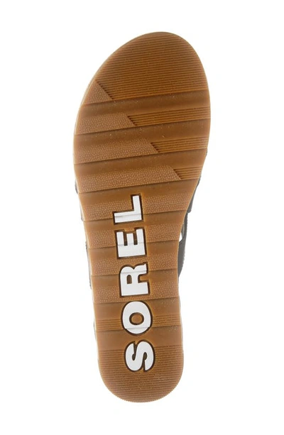Shop Sorel Cameron Platform Gladiator Sandal In Black Gum 2