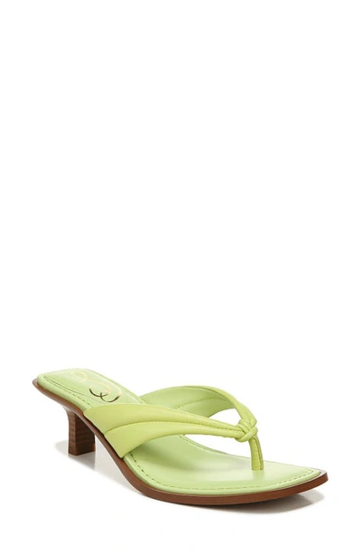 Shop Sam Edelman Daphney Sandal In Kiwi