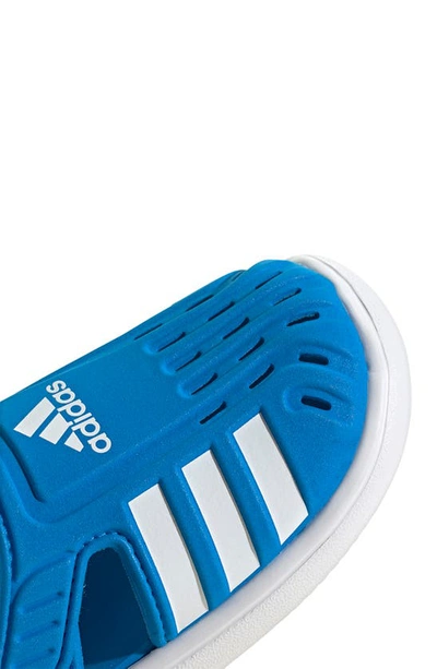 Shop Adidas Originals Water Sandal In Blue Rush/ftwr White
