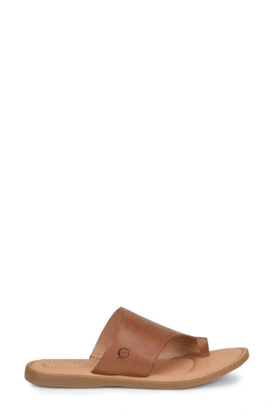 Shop Born Inti Slide Sandal In Brown Leather