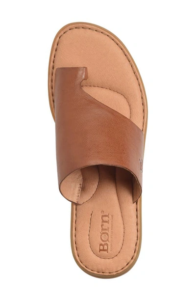 Shop Born Inti Slide Sandal In Brown Leather