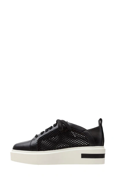 Linea Paolo Kosta Platform Sneaker In Black