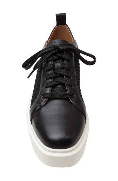 Linea Paolo Kosta Platform Sneaker In Black