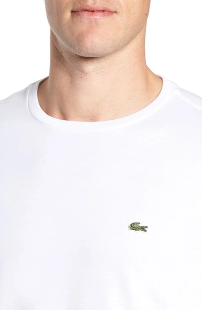 Shop Lacoste Pima Cotton T-shirt In White