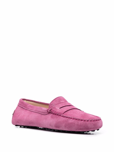 Shop Tod's Gommino Suede Loafers In Rosa