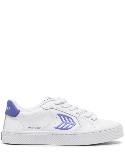 Shop Cariuma Salvas Low-top Sneakers In White