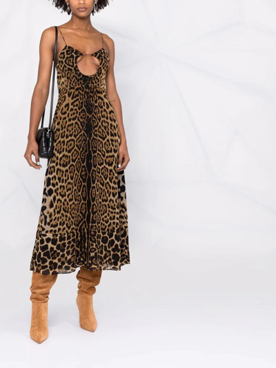 Shop Saint Laurent Cut-out Leopard-print Midi Dress In Braun