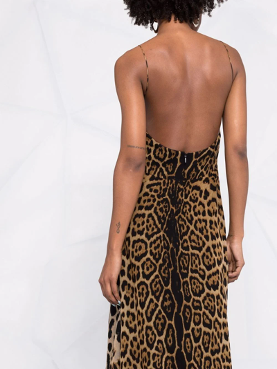 Shop Saint Laurent Cut-out Leopard-print Midi Dress In Braun