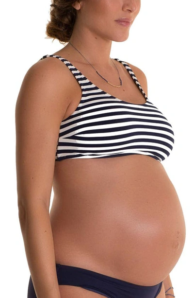 Shop Pez D'or Alba Stripe Maternity Bikini Top In Navy/ White