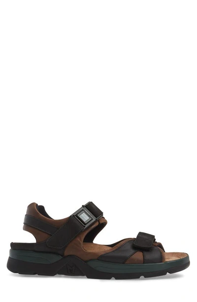 Shop Mephisto 'shark' Sandal In 5751/5700 Dark Brown Sandycalf