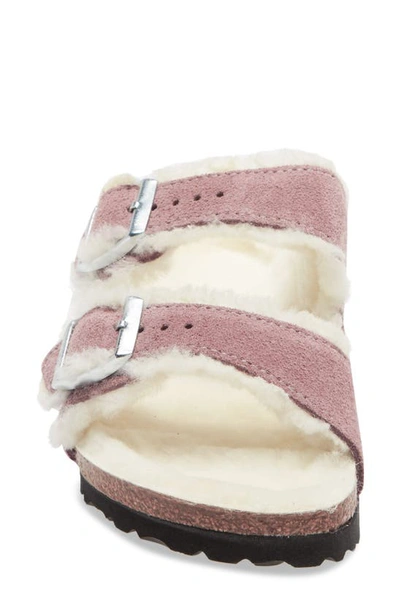 Shop Birkenstock Arizona Genuine Shearling Slide Sandal In Light Rose/ Light Rose