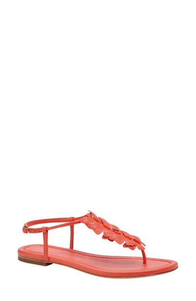 Kate Spade Primrose Leather Thong-toe Sandals In Magma