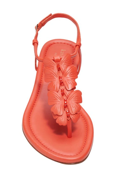 Kate Spade Primrose Leather Thong-toe Sandals In Magma