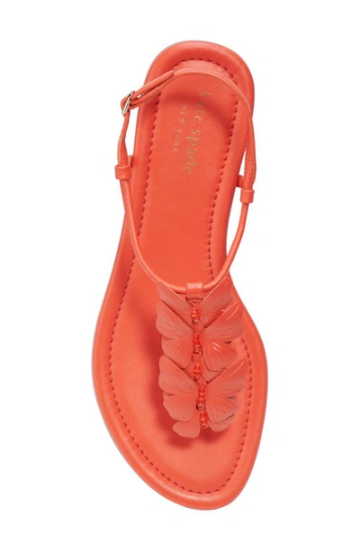 Kate Spade Primrose Leather Thong-toe Sandals In Magma