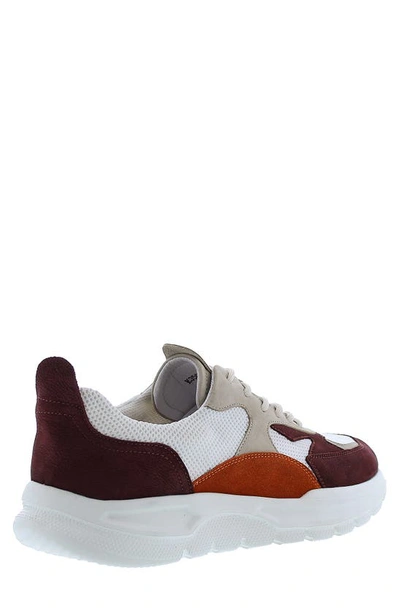 Shop English Laundry Gerald Lace-up Sneaker In Brown