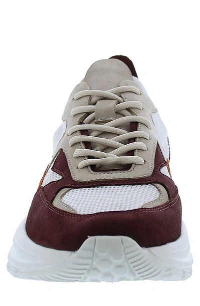 Shop English Laundry Gerald Lace-up Sneaker In Brown