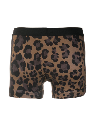 Shop Tom Ford Underwear In Light Brown