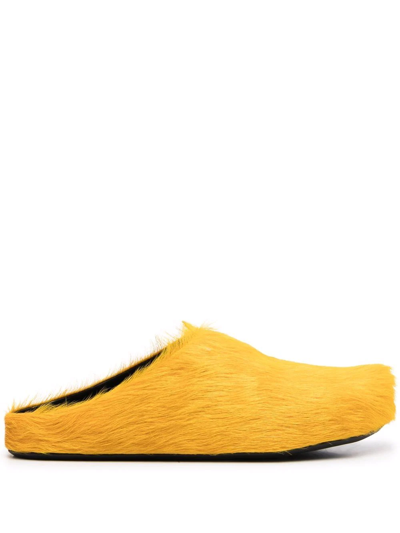 Shop Marni Textured Calf Hair Clog Slippers In Yellow