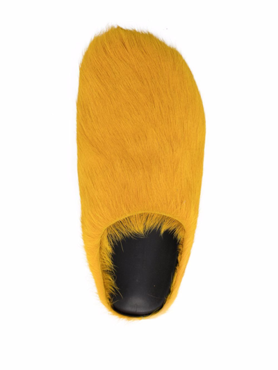 Shop Marni Textured Calf Hair Clog Slippers In Yellow