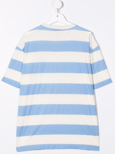 Shop The Animals Observatory Teen Striped Cotton T-shirt In White