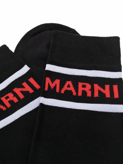 Shop Marni Logo Print Socks In Black