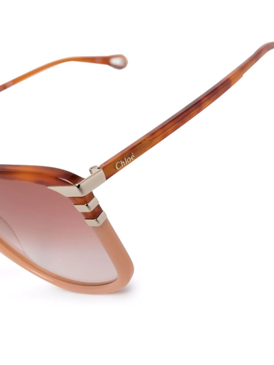 Chloé Lunettes De Soleil West Petite Femme Brun Taille Onesize 100% Acétate In Brown