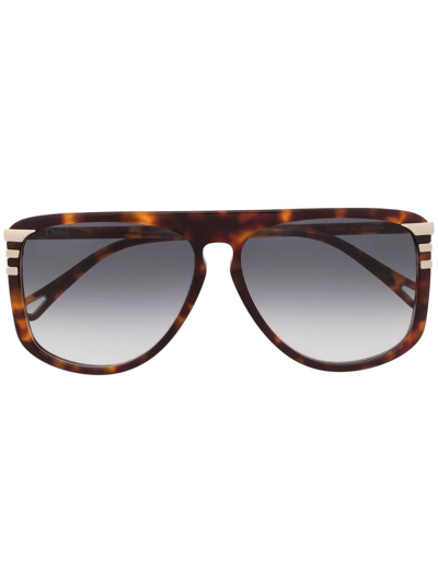 Shop Chloé Tortoiseshell Effect Sunglasses In Brown