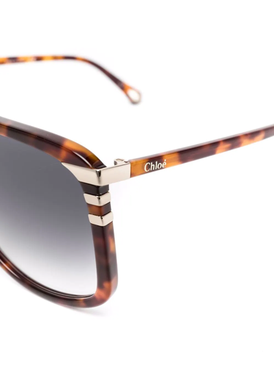 Shop Chloé Tortoiseshell Effect Sunglasses In Brown
