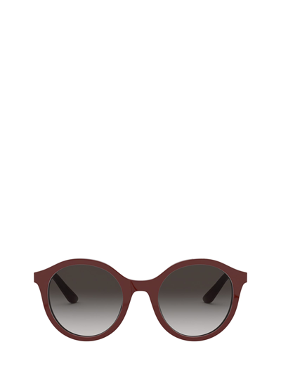 Shop Dolce & Gabbana Dg4358 Bordeaux Sunglasses