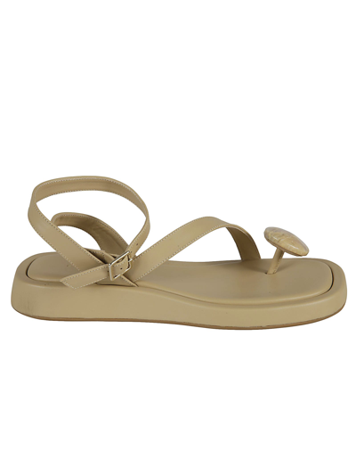 Shop Gia Borghini Rosie 18 Flat Sandals In Taupe